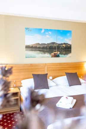 Отель Hotel Bau Maribor  Марибор